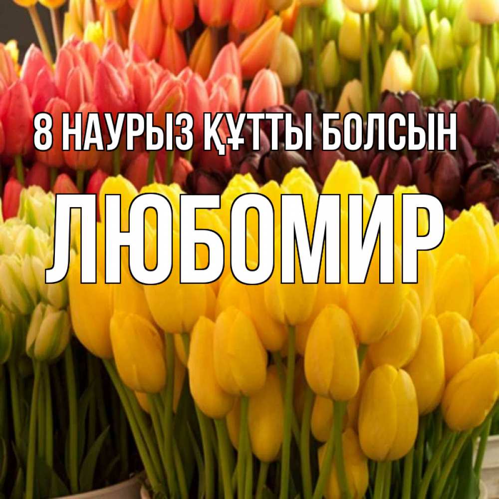 Күн сайын ашық хат с именем, Любомир 8 наурыз құтты болсын цветы Онлайн тегін жүктеп алу тілектері бар керемет карта 