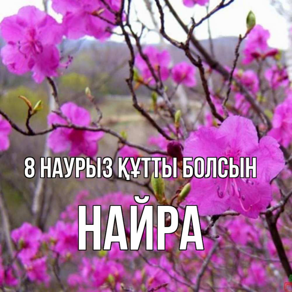 Күн сайын ашық хат с именем, НАЙРА 8 наурыз құтты болсын международный женский день Онлайн тегін жүктеп алу тілектері бар керемет карта 