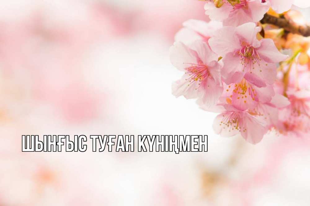 Картинка  с именем , ШЫНҒЫС! ТУҒАН КҮНІҢМЕН!