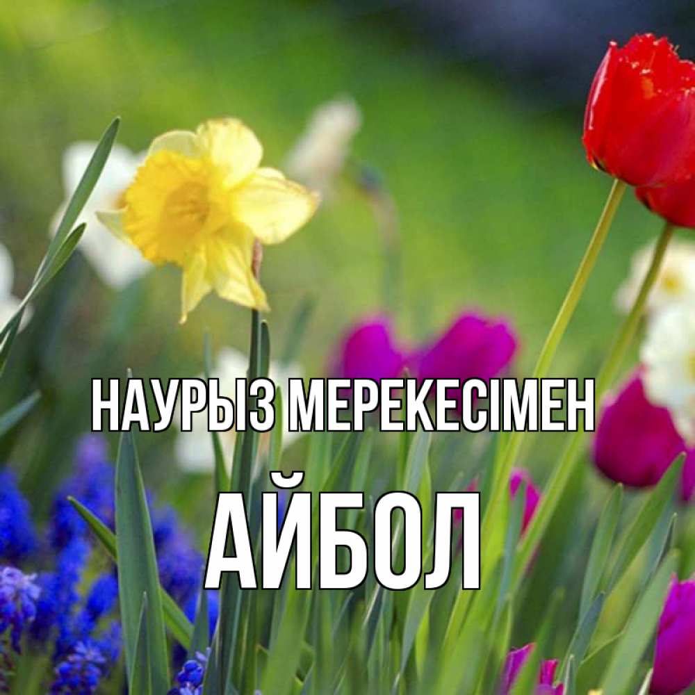 Күн сайын ашық хат с именем, Айбол Наурыз мерекесімен праздник весны наурыз 3 Онлайн тегін жүктеп алу тілектері бар керемет карта 
