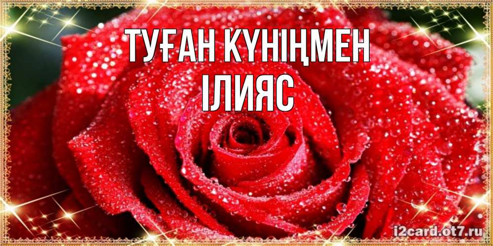 Күн сайын ашық хат с именем, ІЛИЯС Туған күніңмен роса и роза. открытка с красивой розой Онлайн тегін жүктеп алу тілектері бар керемет карта 