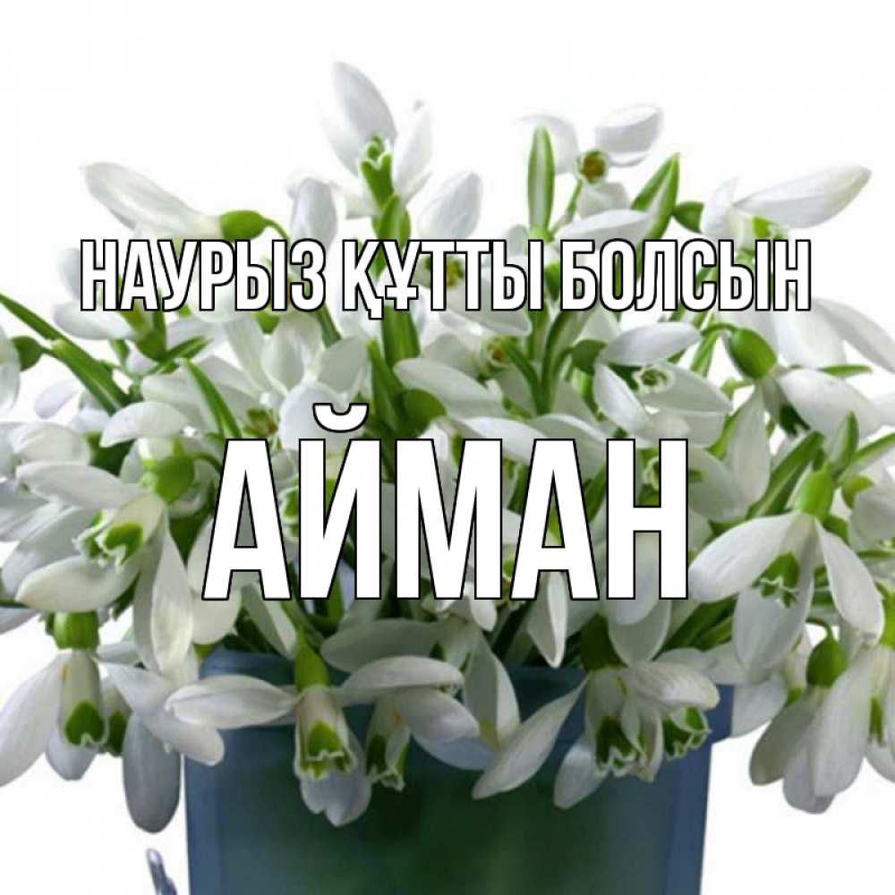 Күн сайын ашық хат с именем, АЙМАН Наурыз құтты болсын цветы к наурызу Онлайн тегін жүктеп алу тілектері бар керемет карта 