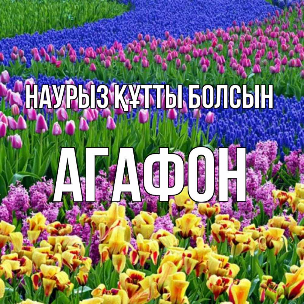 Күн сайын ашық хат с именем, Агафон Наурыз құтты болсын цветы Онлайн тегін жүктеп алу тілектері бар керемет карта 