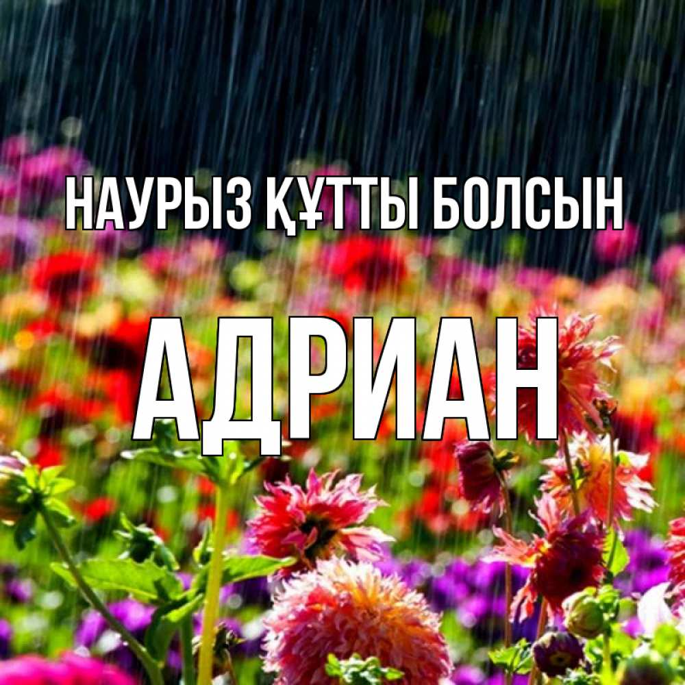 Күн сайын ашық хат с именем, Адриан Наурыз құтты болсын цветы под дождиком к наурызу Онлайн тегін жүктеп алу тілектері бар керемет карта 