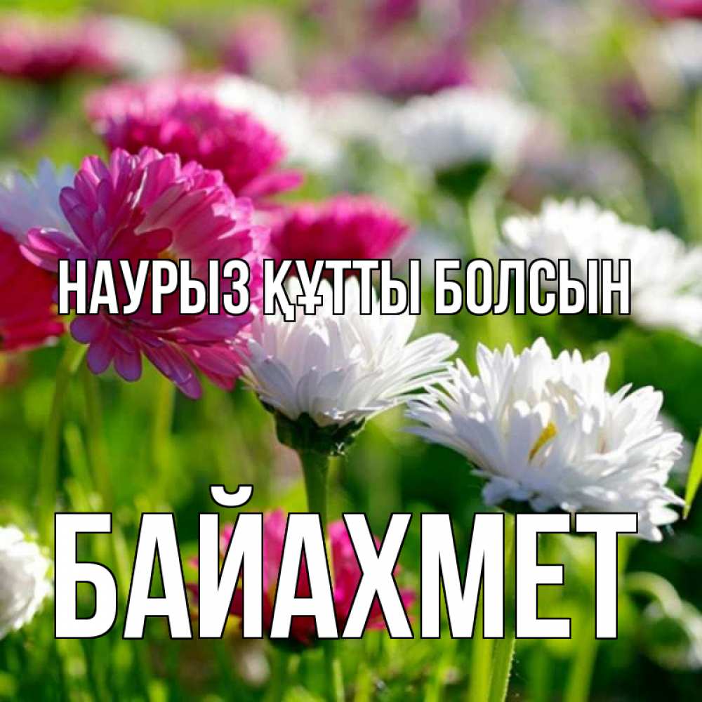 Күн сайын ашық хат с именем, Байахмет Наурыз құтты болсын наурыз Онлайн тегін жүктеп алу тілектері бар керемет карта 