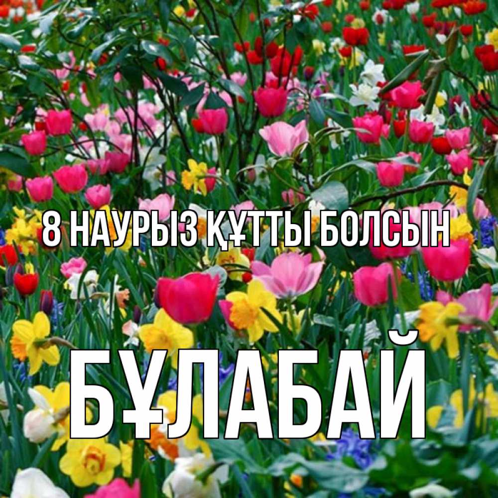 Күн сайын ашық хат с именем, Бұлабай 8 наурыз құтты болсын с международным женским днем поздравления для женщины Онлайн тегін жүктеп алу тілектері бар керемет карта 