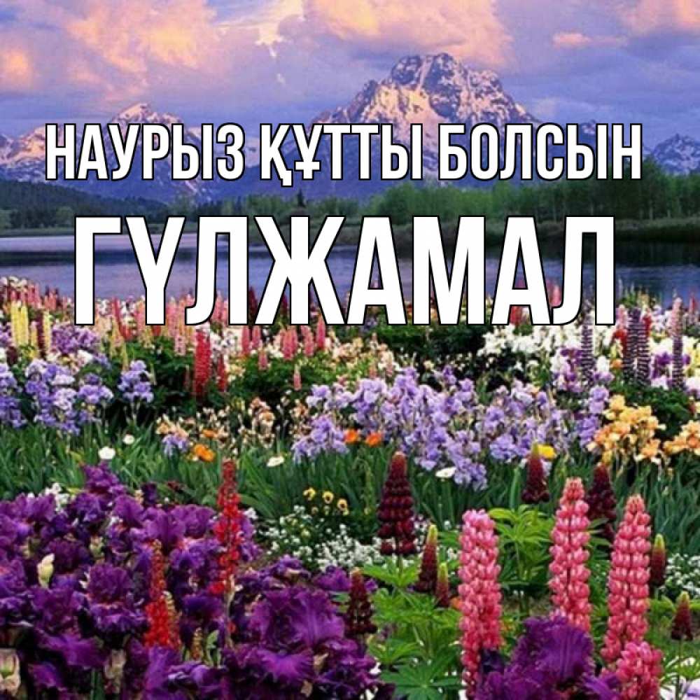 Күн сайын ашық хат с именем, ГҮЛЖАМАЛ Наурыз құтты болсын наурыз Онлайн тегін жүктеп алу тілектері бар керемет карта 