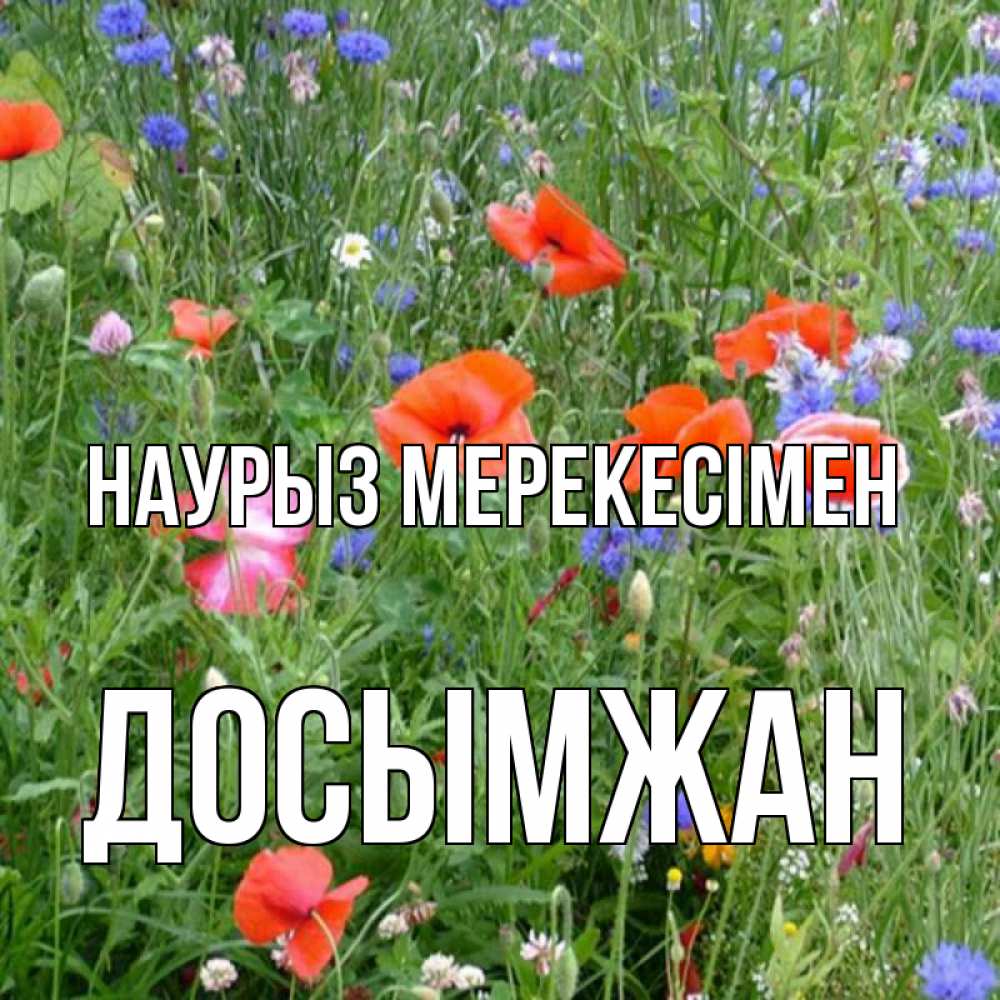 Күн сайын ашық хат с именем, Досымжан Наурыз мерекесімен праздник весны наурыз супер открытка Онлайн тегін жүктеп алу тілектері бар керемет карта 