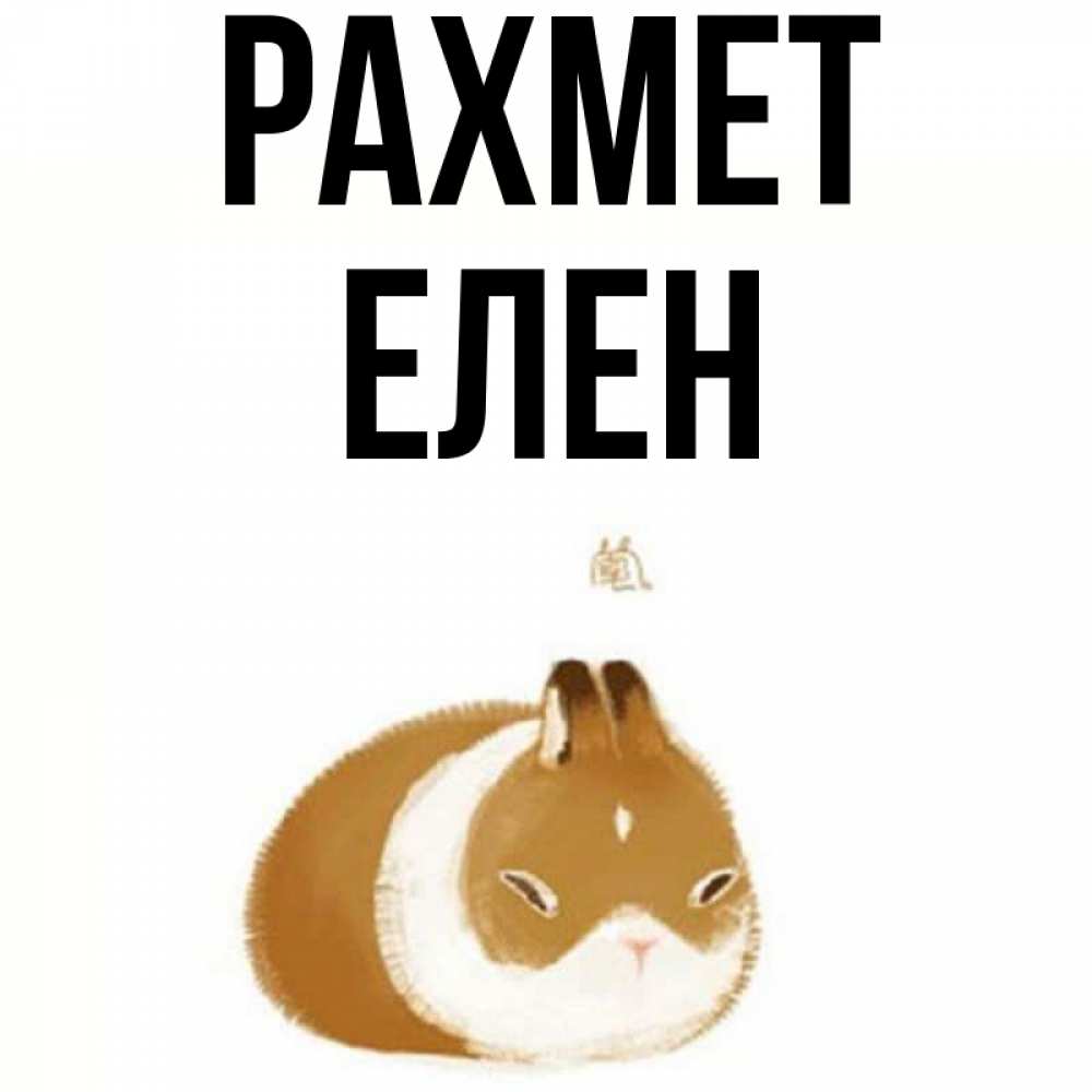 Күн сайын ашық хат с именем, Елен рахмет коричнево белый домашний питомец Онлайн тегін жүктеп алу тілектері бар керемет карта 