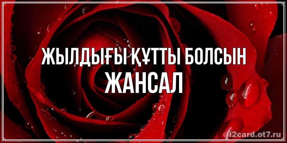 Күн сайын ашық хат с именем, Жансал Жылдығы құтты болсын крупная бордовая роза Онлайн тегін жүктеп алу тілектері бар керемет карта 