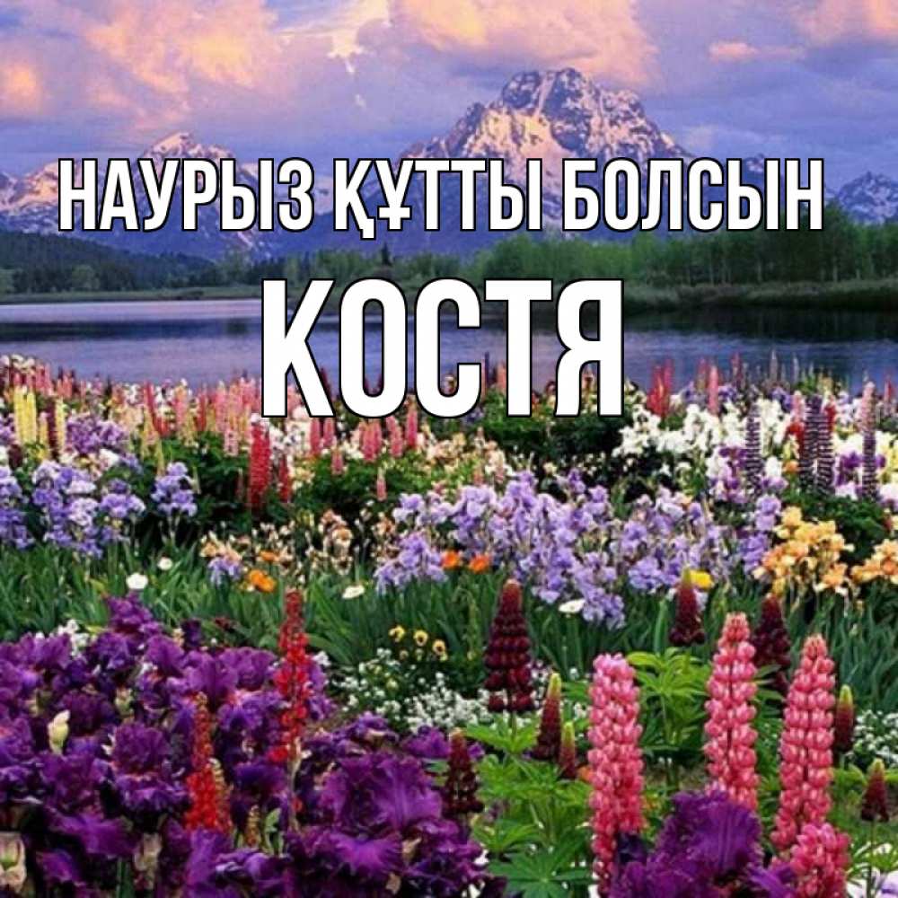 Күн сайын ашық хат с именем, Костя Наурыз құтты болсын наурыз Онлайн тегін жүктеп алу тілектері бар керемет карта 