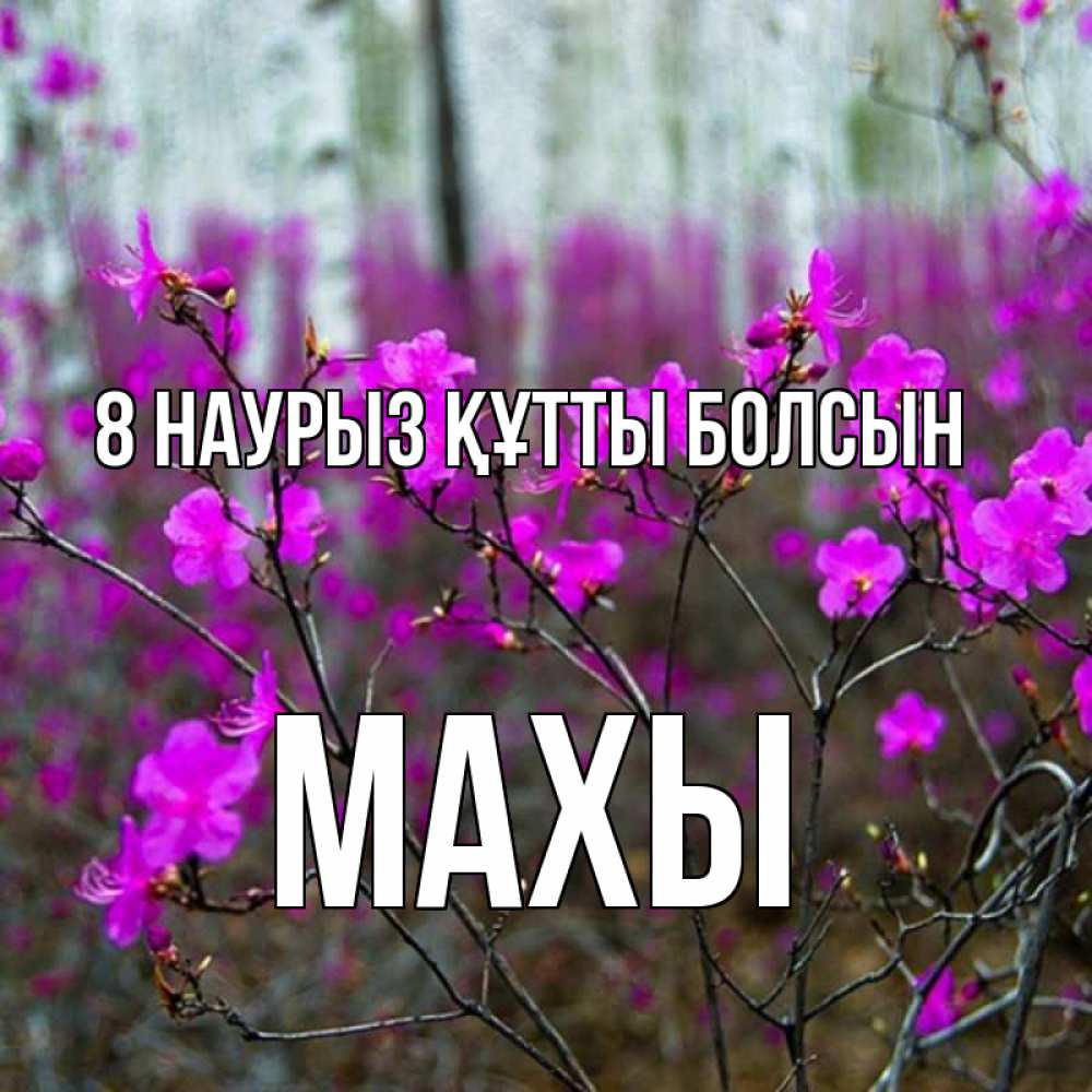 Күн сайын ашық хат с именем, МАХЫ 8 наурыз құтты болсын дикие цветы Онлайн тегін жүктеп алу тілектері бар керемет карта 