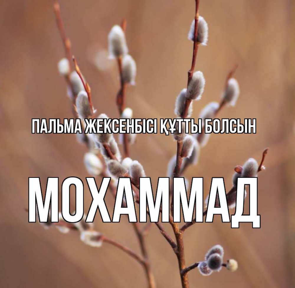 Күн сайын ашық хат с именем, Мохаммад Пальма жексенбісі құтты болсын верба Онлайн тегін жүктеп алу тілектері бар керемет карта 
