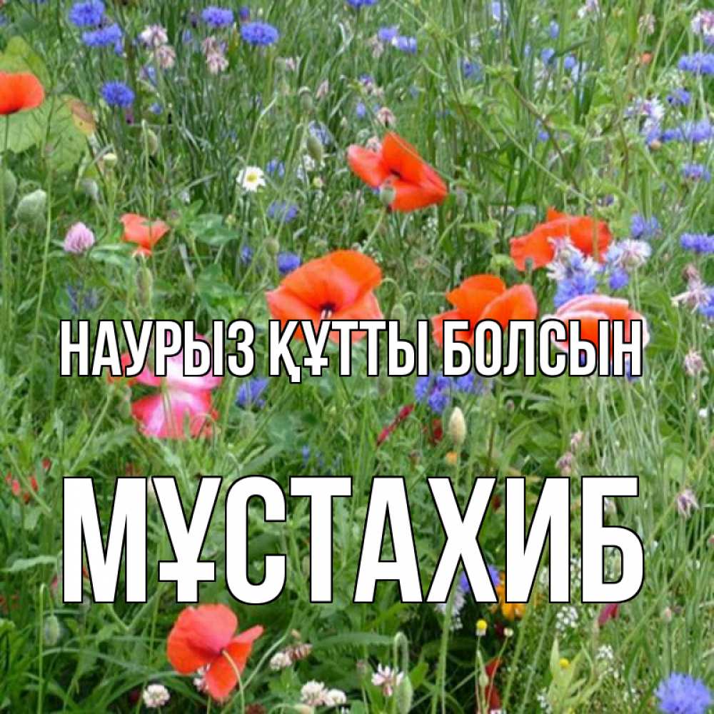 Күн сайын ашық хат с именем, МҰСТАХИБ Наурыз құтты болсын наурыз  4 Онлайн тегін жүктеп алу тілектері бар керемет карта 
