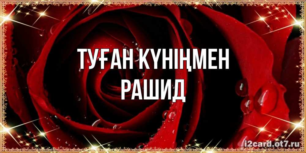 Күн сайын ашық хат с именем, Рашид Туған күніңмен цветок в росе на день рождения Онлайн тегін жүктеп алу тілектері бар керемет карта 