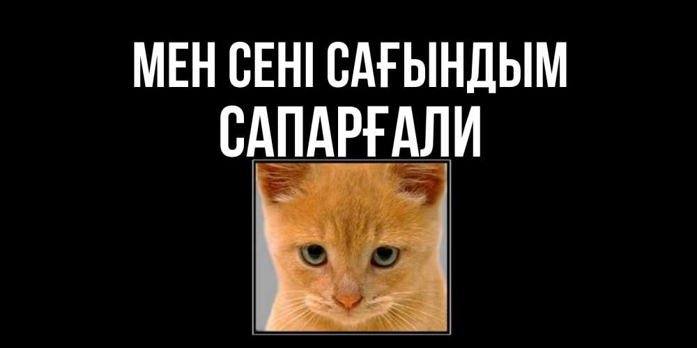 Күн сайын ашық хат с именем, САПАРҒАЛИ Мен сені сағындым открытки рыжий котенок скучает по тебе Онлайн тегін жүктеп алу тілектері бар керемет карта 