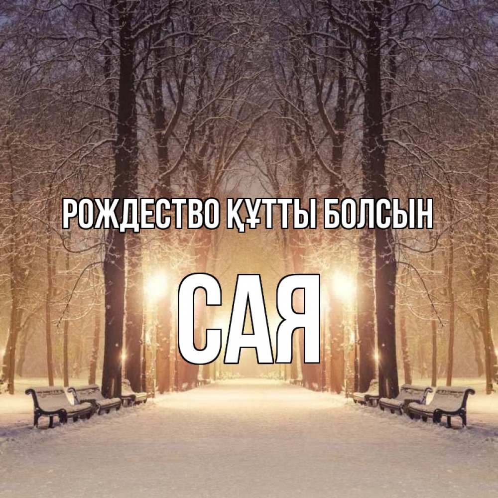 Күн сайын ашық хат с именем, САЯ Рождество құтты болсын зима, парк, фонарь, лес Онлайн тегін жүктеп алу тілектері бар керемет карта 