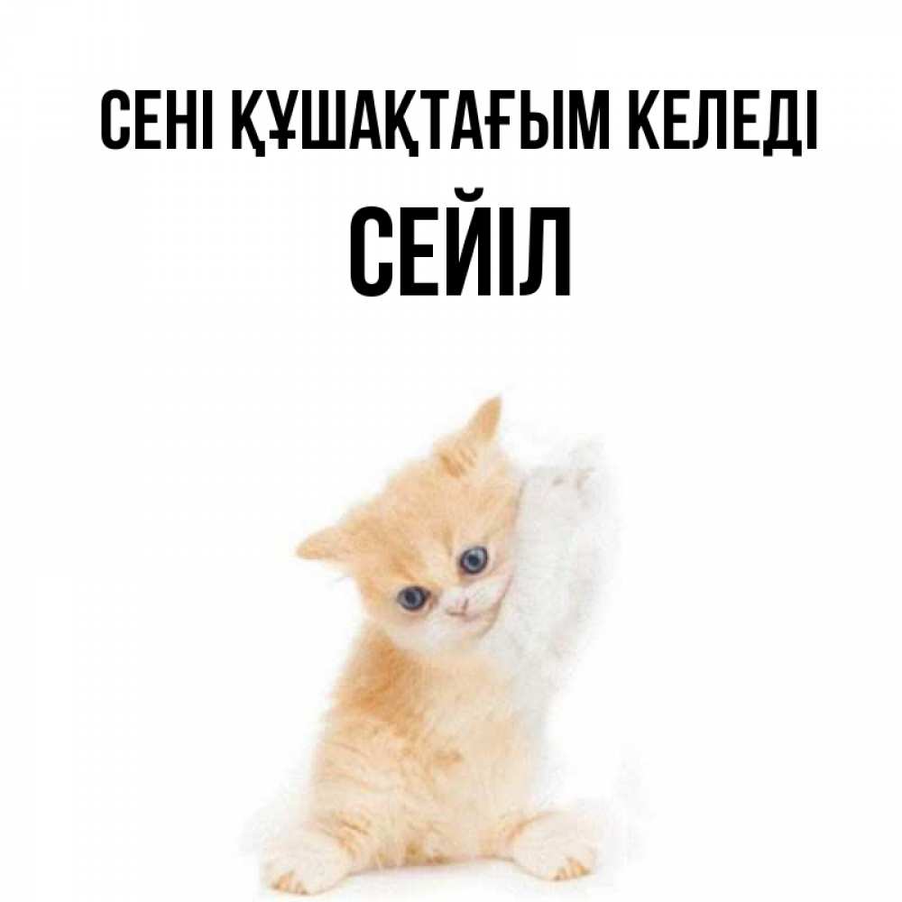 Күн сайын ашық хат с именем, СЕЙІЛ сені құшақтағым келеді я хочу очень скорее обнимаешек Онлайн тегін жүктеп алу тілектері бар керемет карта 