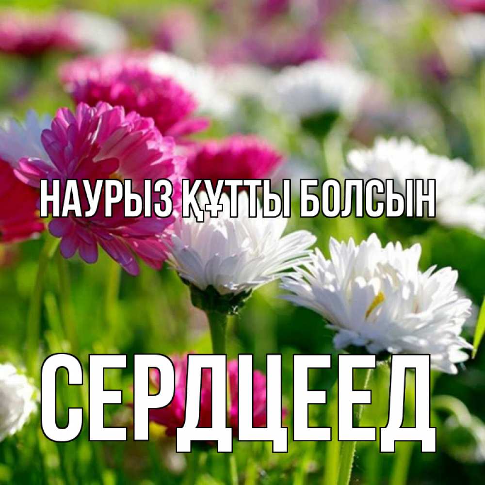 Күн сайын ашық хат с именем, Сердцеед Наурыз құтты болсын наурыз Онлайн тегін жүктеп алу тілектері бар керемет карта 