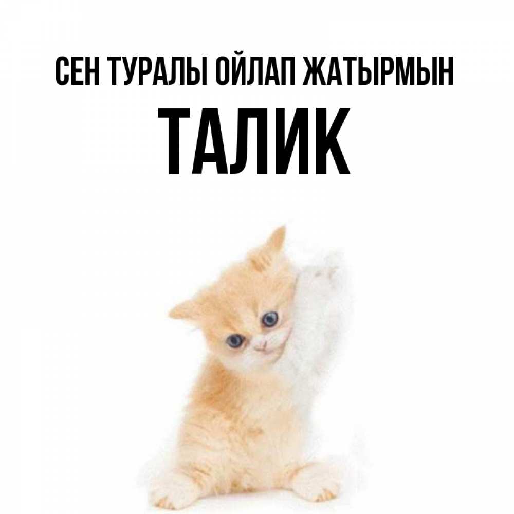 Күн сайын ашық хат с именем, Талик Сен туралы ойлап жатырмын зверушки и милота Онлайн тегін жүктеп алу тілектері бар керемет карта 
