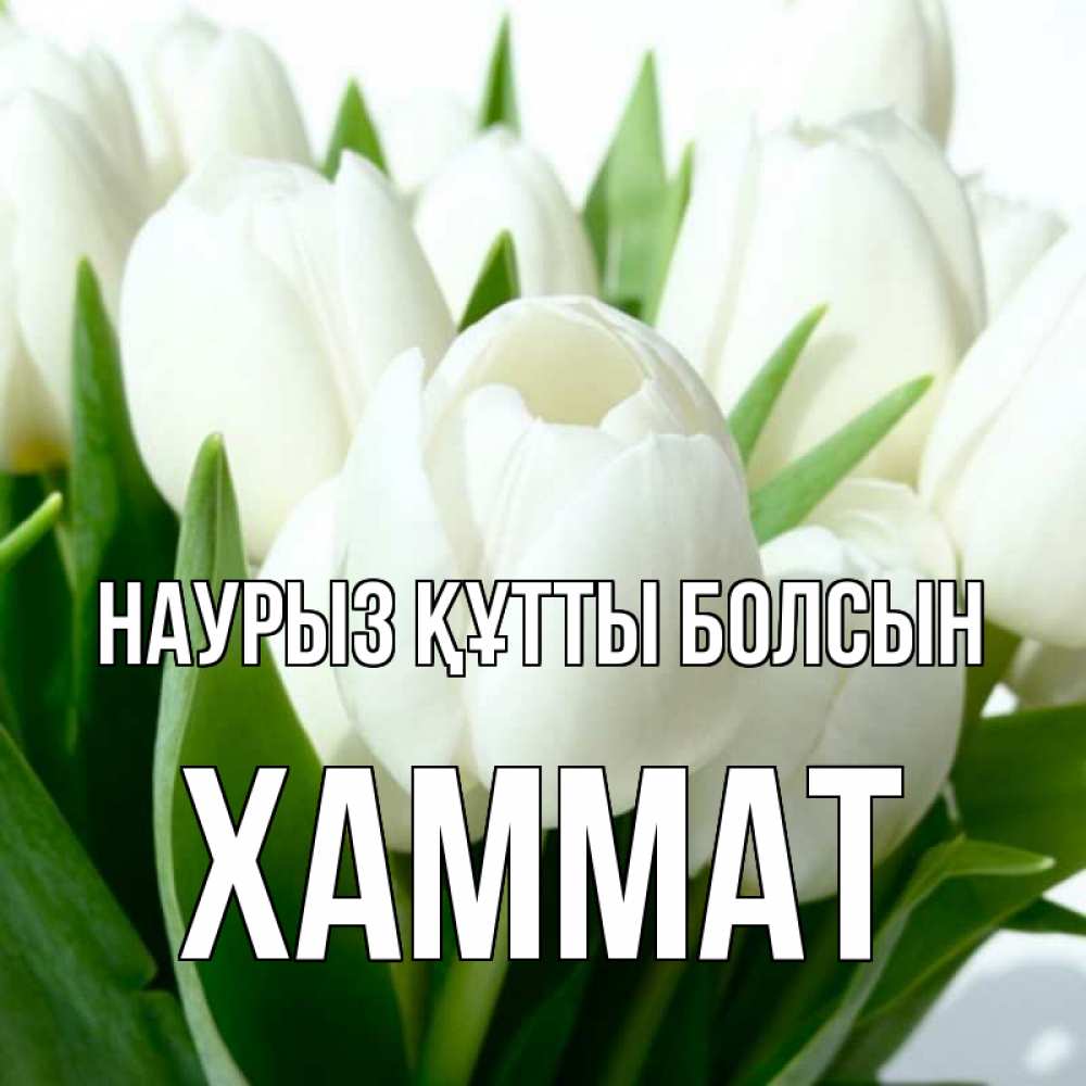 Күн сайын ашық хат с именем, ХАММАТ Наурыз құтты болсын цветы Онлайн тегін жүктеп алу тілектері бар керемет карта 