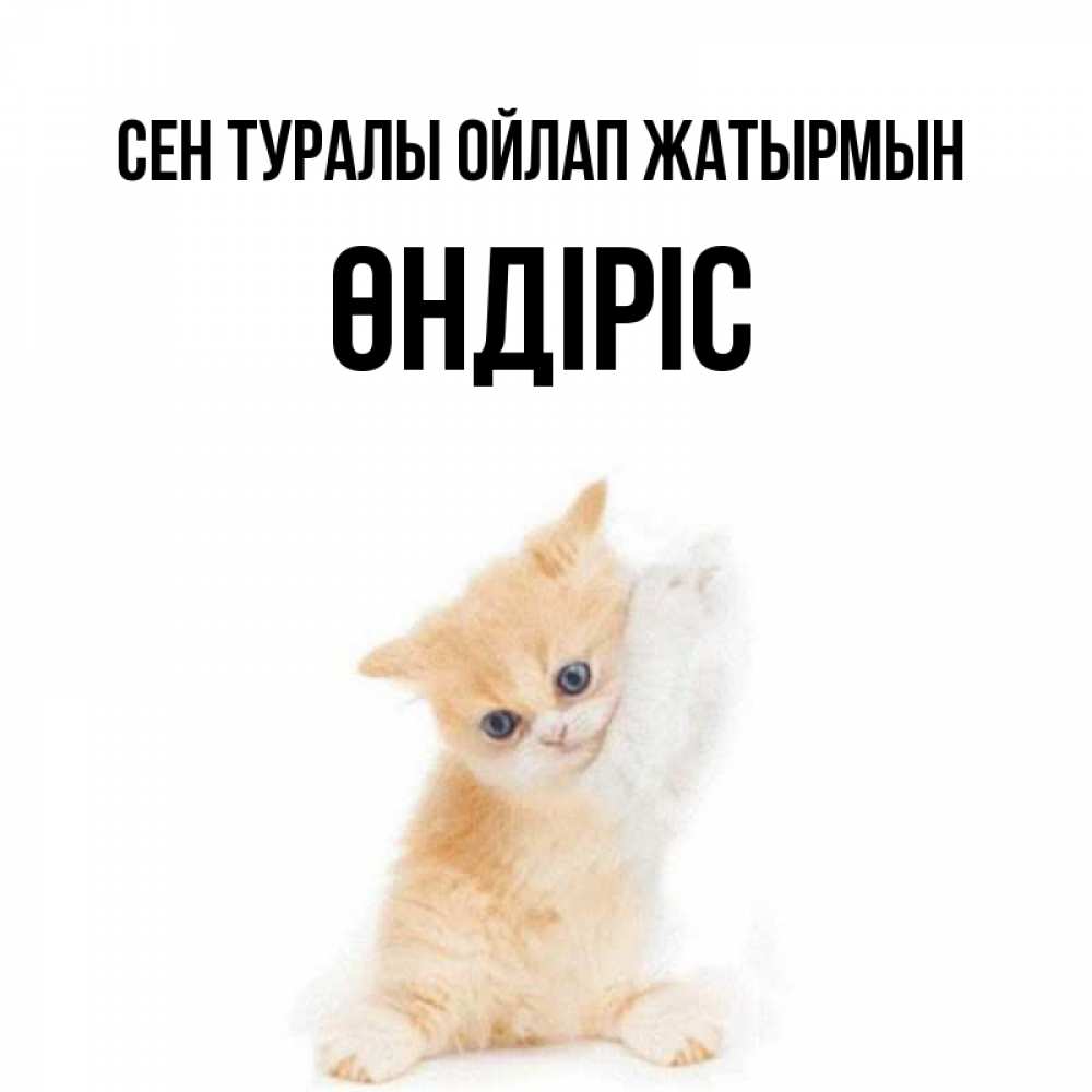 Күн сайын ашық хат с именем, ӨНДІРІС Сен туралы ойлап жатырмын зверушки и милота Онлайн тегін жүктеп алу тілектері бар керемет карта 