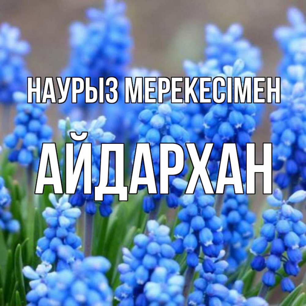 Күн сайын ашық хат с именем, Айдархан Наурыз мерекесімен Поздравительная открытка для женщин с цветами на праздничную дату Онлайн тегін жүктеп алу тілектері бар керемет карта 