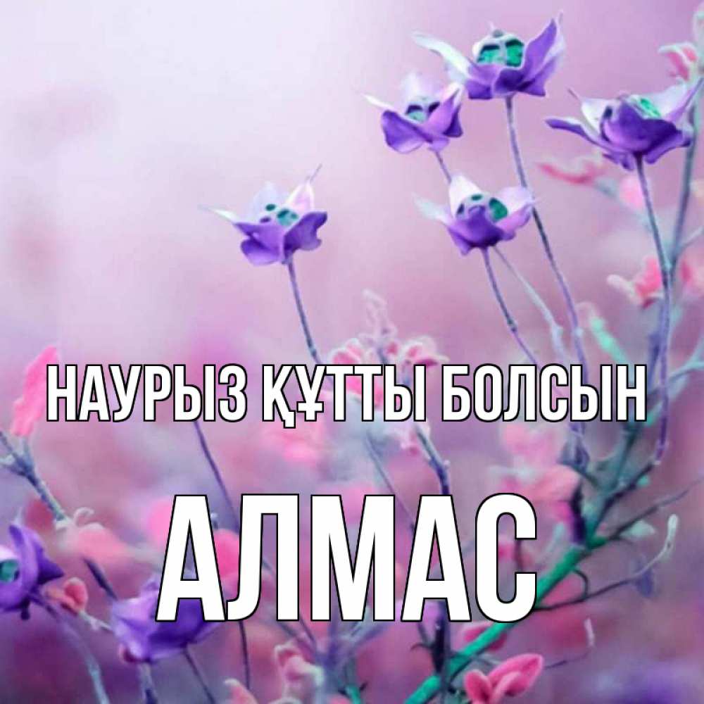Күн сайын ашық хат с именем, Алмас Наурыз құтты болсын наурыз  2 Онлайн тегін жүктеп алу тілектері бар керемет карта 