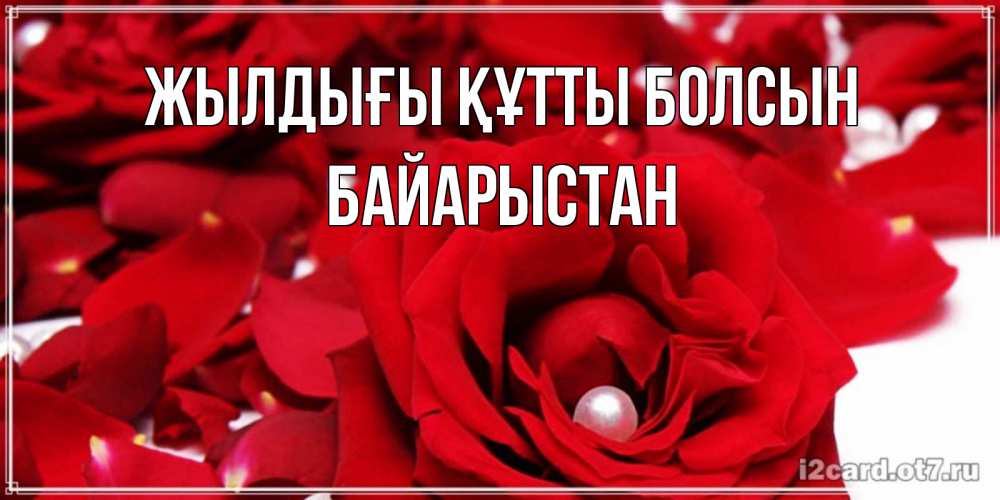Күн сайын ашық хат с именем, Байарыстан Жылдығы құтты болсын роза с жемчужиной на открытке для любимых Онлайн тегін жүктеп алу тілектері бар керемет карта 