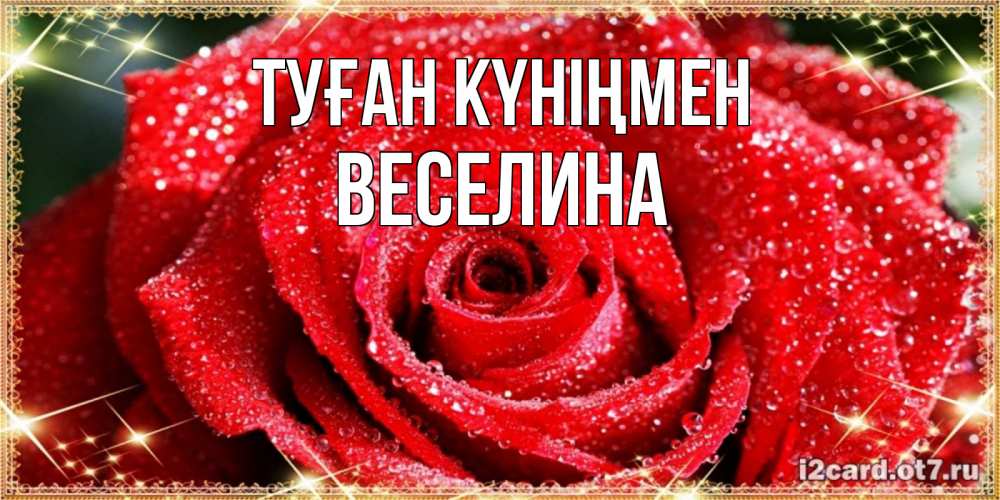 Күн сайын ашық хат с именем, Веселина Туған күніңмен роса и роза. открытка с красивой розой Онлайн тегін жүктеп алу тілектері бар керемет карта 