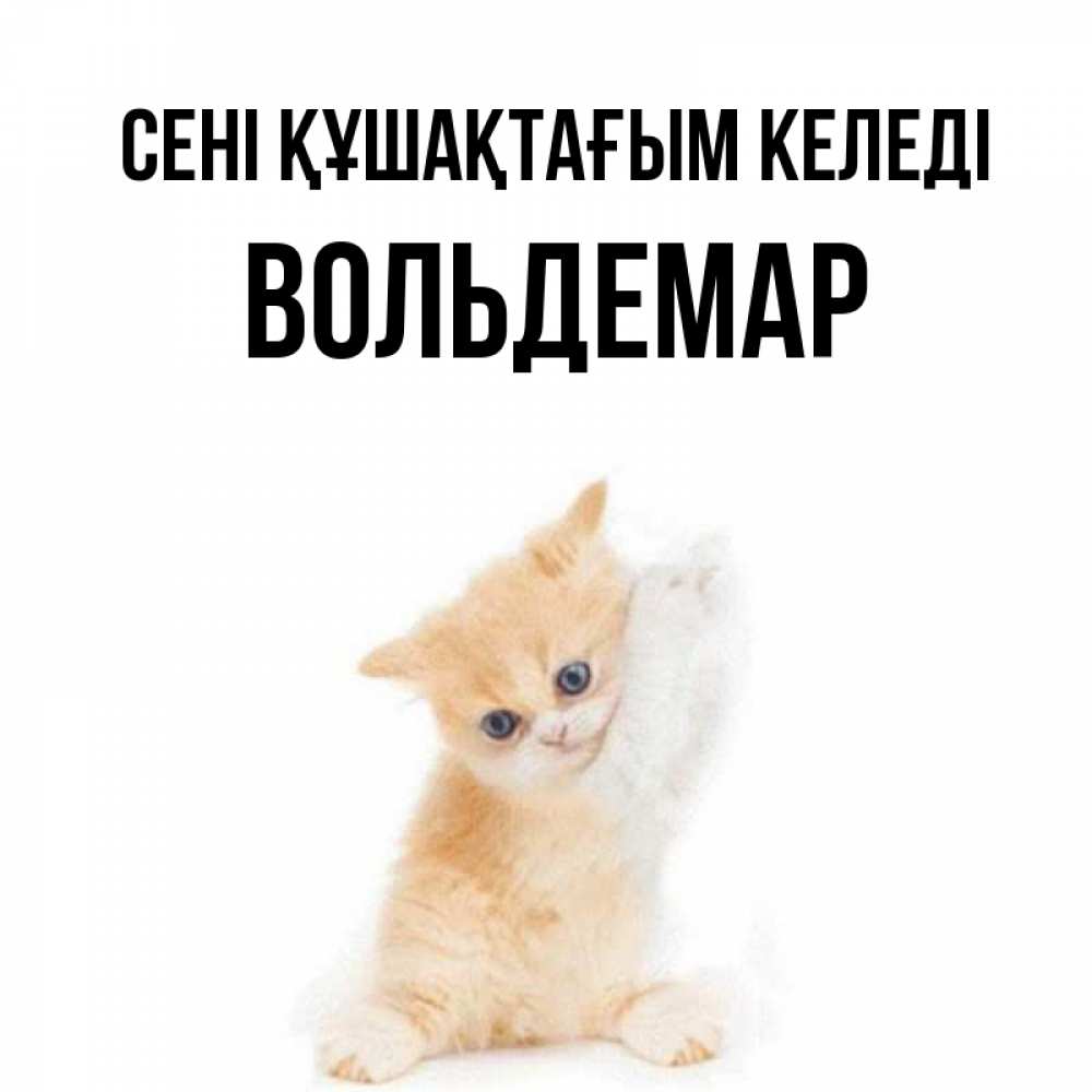 Күн сайын ашық хат с именем, Вольдемар сені құшақтағым келеді я хочу очень скорее обнимаешек Онлайн тегін жүктеп алу тілектері бар керемет карта 