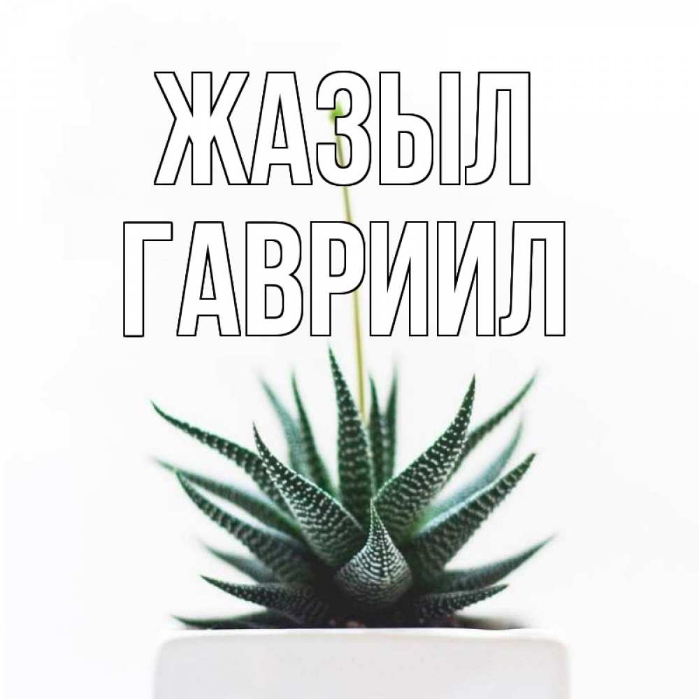 Күн сайын ашық хат с именем, Гавриил Жазыл короче это непонятная колючка Онлайн тегін жүктеп алу тілектері бар керемет карта 