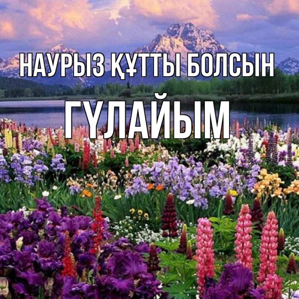 Күн сайын ашық хат с именем, ГҮЛАЙЫМ Наурыз құтты болсын наурыз Онлайн тегін жүктеп алу тілектері бар керемет карта 