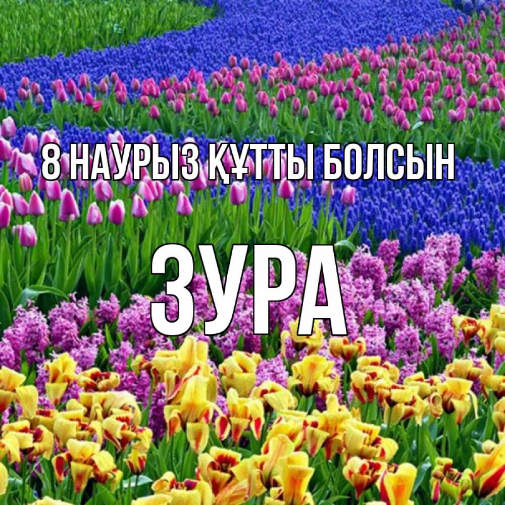 Күн сайын ашық хат с именем, ЗУРА 8 наурыз құтты болсын цветы Онлайн тегін жүктеп алу тілектері бар керемет карта 
