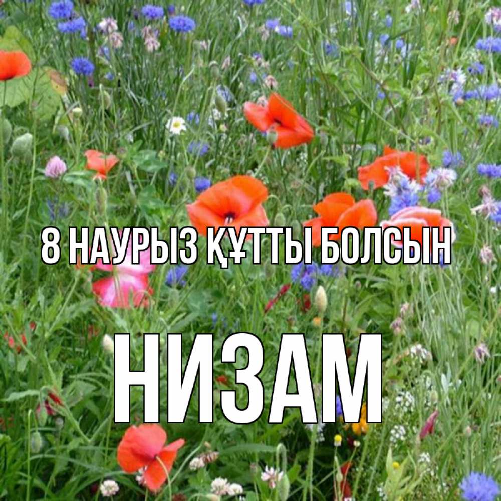 Күн сайын ашық хат с именем, НИЗАМ 8 наурыз құтты болсын международный женский день 4 Онлайн тегін жүктеп алу тілектері бар керемет карта 