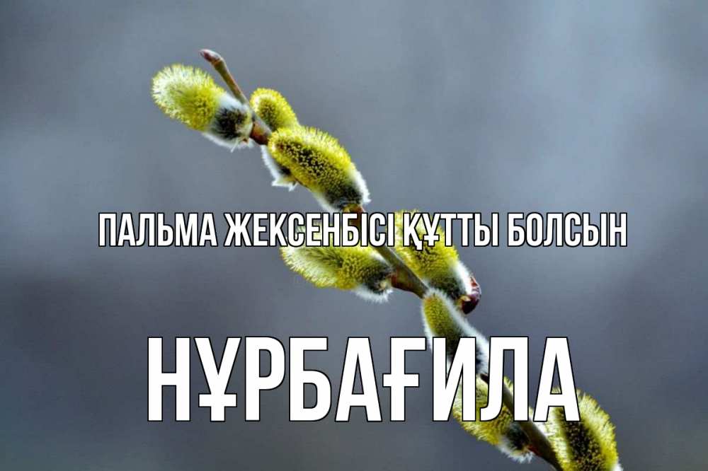 Күн сайын ашық хат с именем, НҰРБАҒИЛА Пальма жексенбісі құтты болсын верба Онлайн тегін жүктеп алу тілектері бар керемет карта 