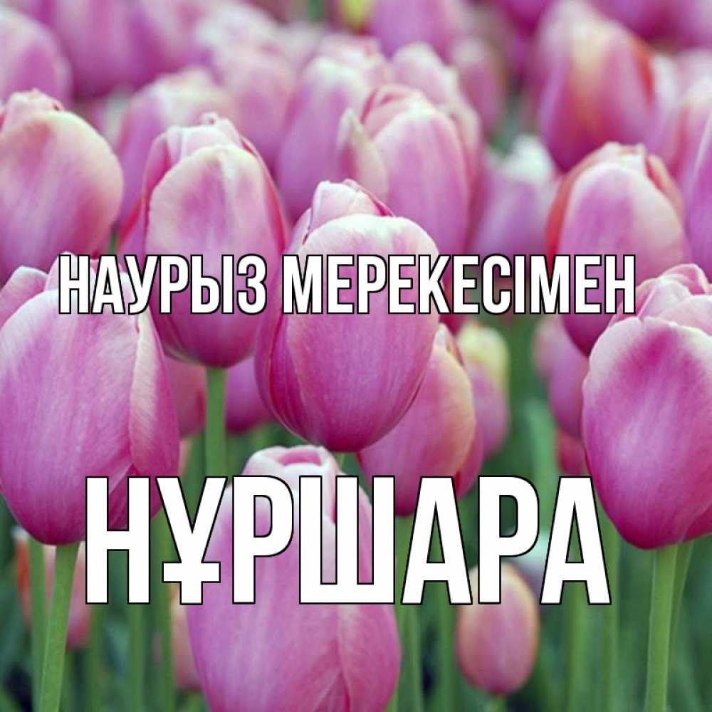 Күн сайын ашық хат с именем, НҰРШАРА Наурыз мерекесімен праздник весны наурыз 69 Онлайн тегін жүктеп алу тілектері бар керемет карта 
