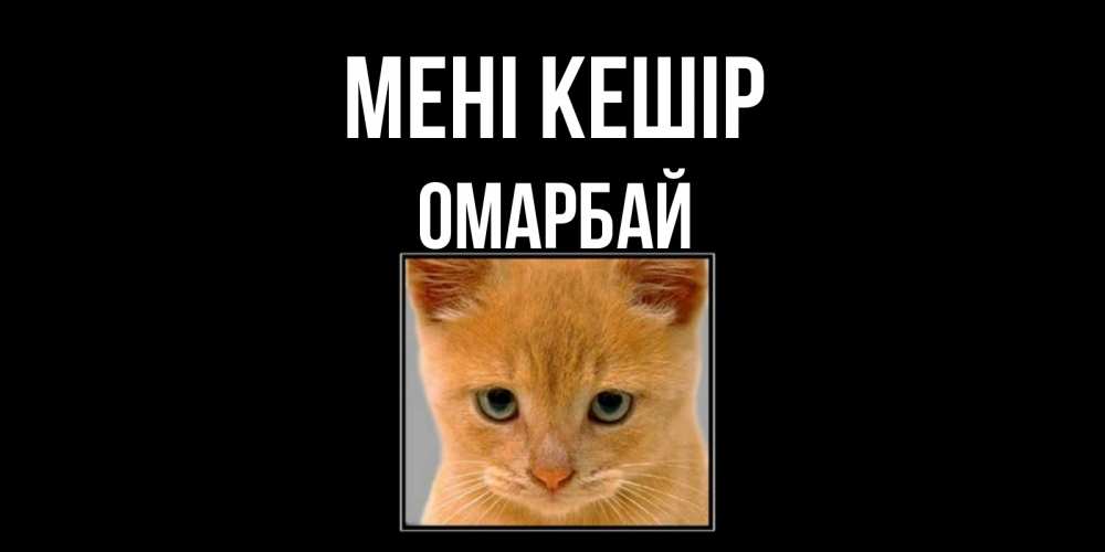 Күн сайын ашық хат с именем, ОМАРБАЙ Мені кешір рыжий грустный кот просит прощения Онлайн тегін жүктеп алу тілектері бар керемет карта 