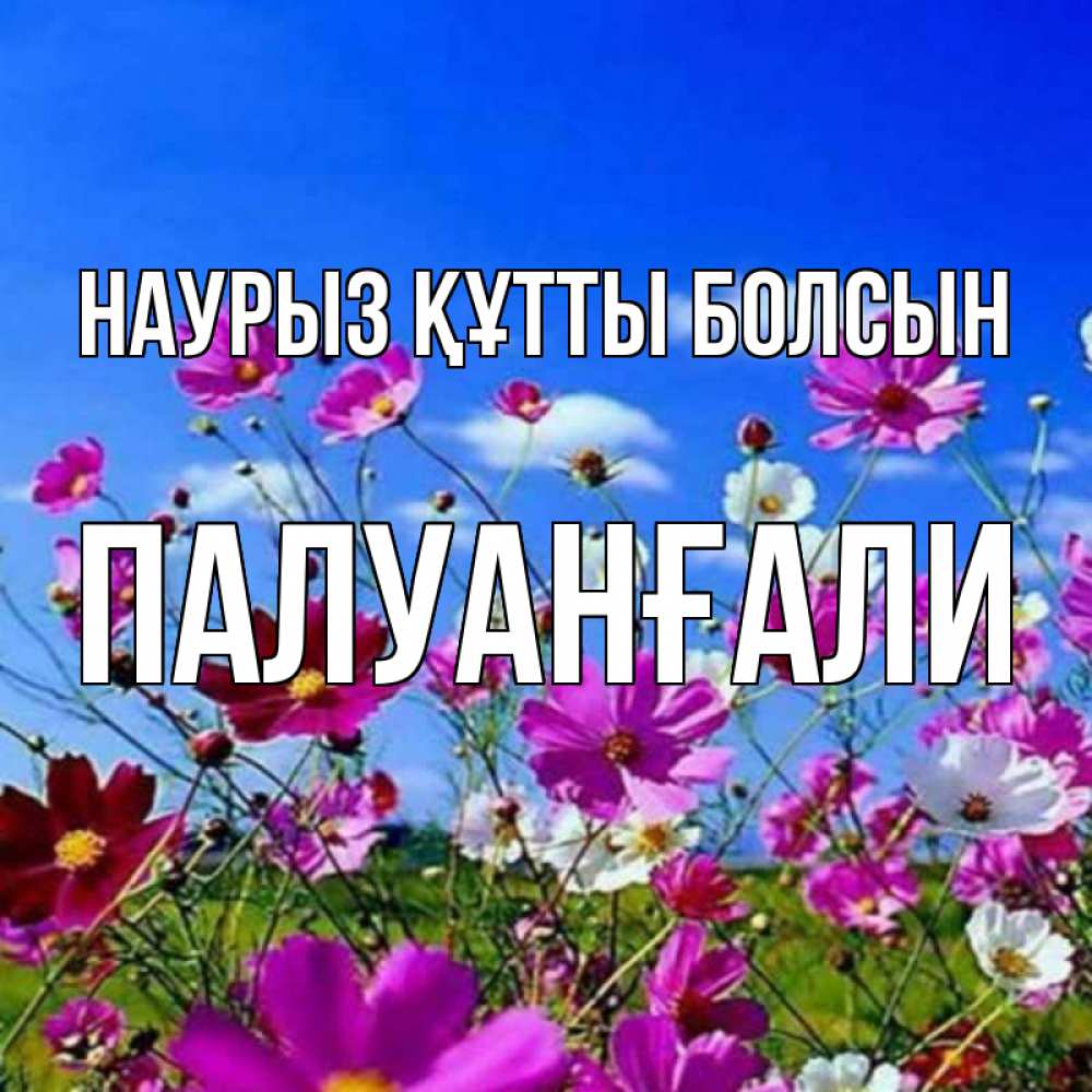 Күн сайын ашық хат с именем, ПАЛУАНҒАЛИ Наурыз құтты болсын цветы Онлайн тегін жүктеп алу тілектері бар керемет карта 