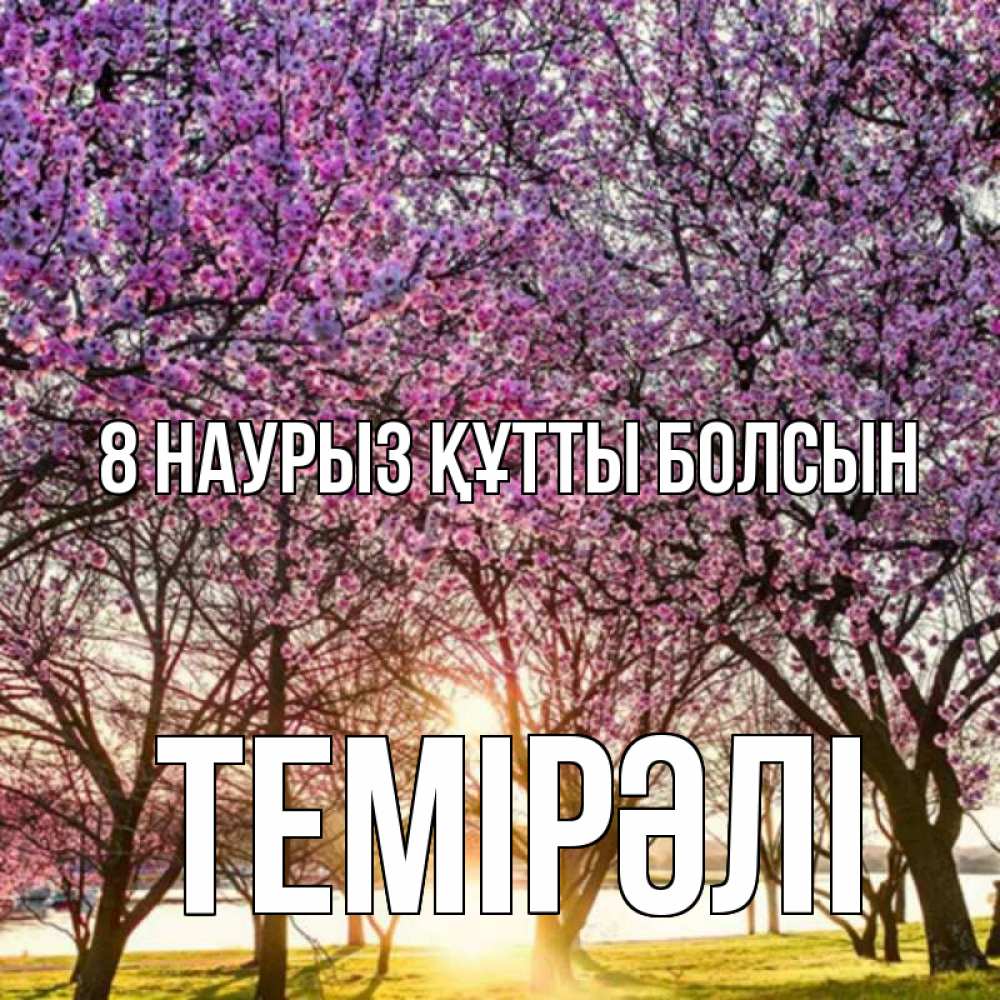 Күн сайын ашық хат с именем, ТЕМІРӘЛІ 8 наурыз құтты болсын международный женский день Онлайн тегін жүктеп алу тілектері бар керемет карта 