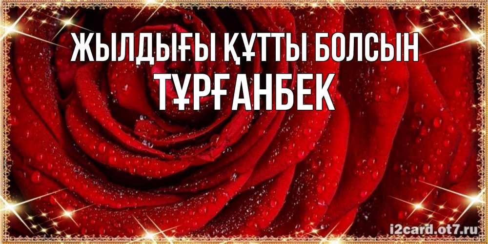Күн сайын ашық хат с именем, ТҰРҒАНБЕК Жылдығы құтты болсын роса на розе блестящая в лучах солнца Онлайн тегін жүктеп алу тілектері бар керемет карта 