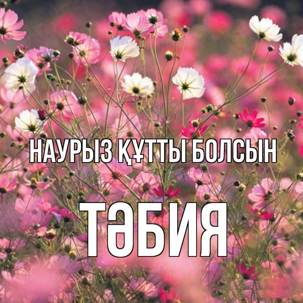 Күн сайын ашық хат с именем, ТӘБИЯ Наурыз құтты болсын красиво 1 Онлайн тегін жүктеп алу тілектері бар керемет карта 