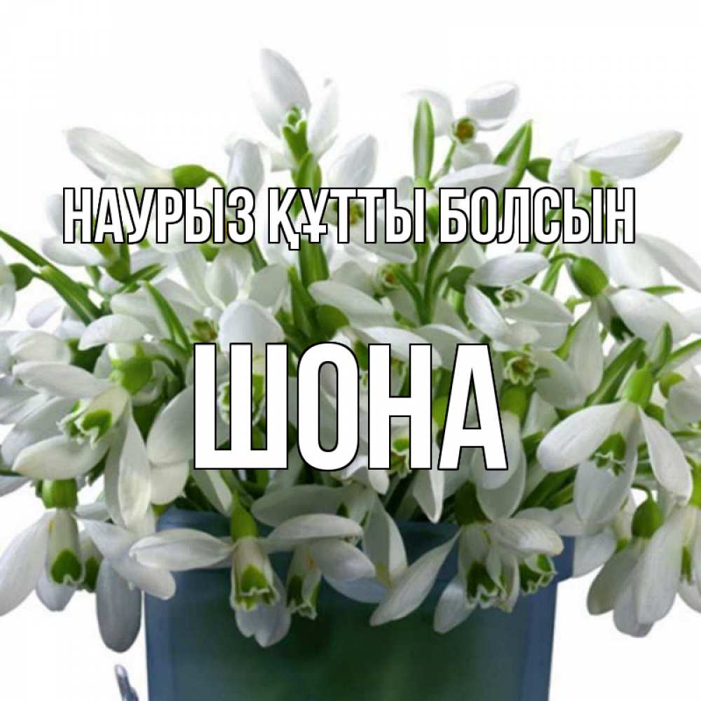 Күн сайын ашық хат с именем, ШОНА Наурыз құтты болсын цветы к наурызу Онлайн тегін жүктеп алу тілектері бар керемет карта 