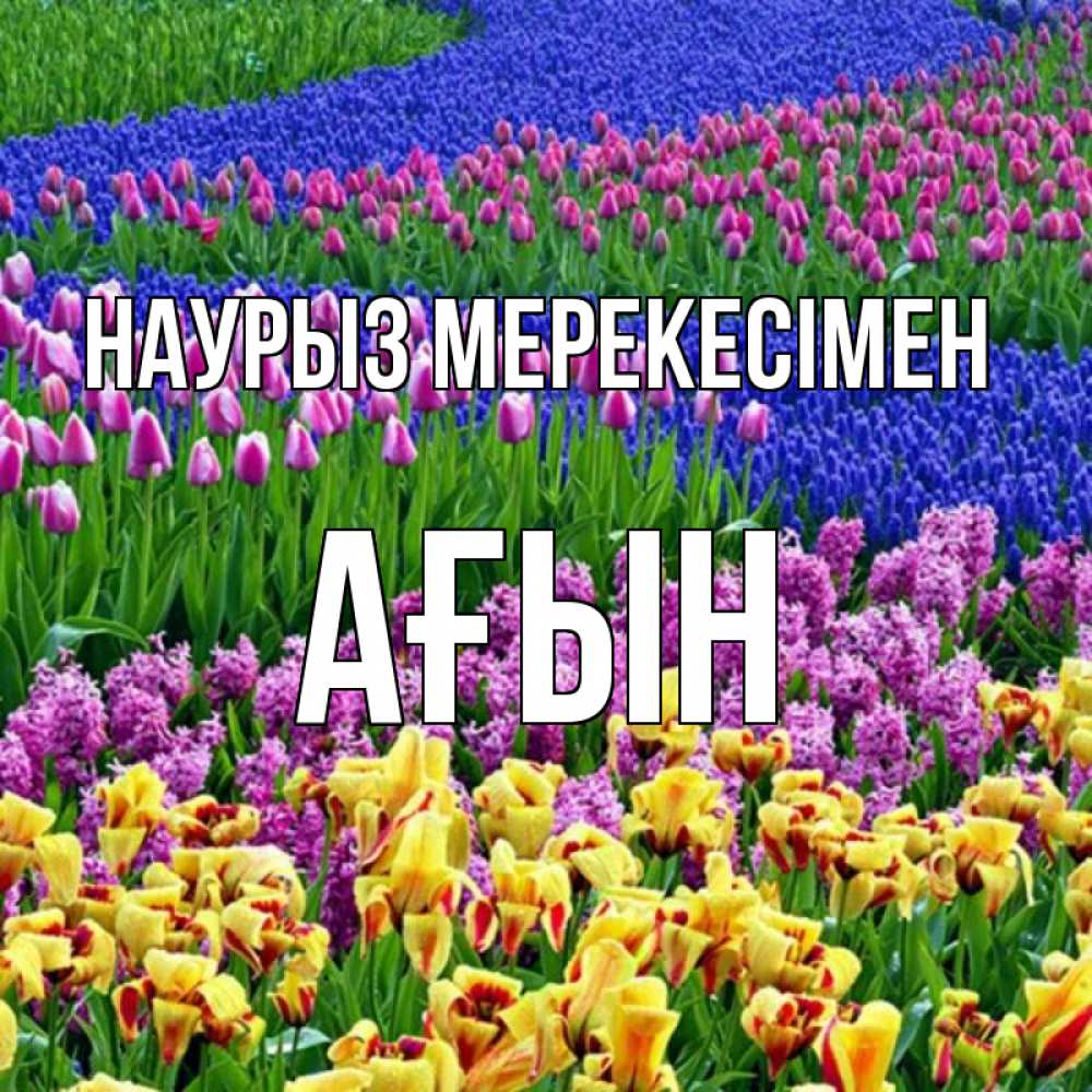 Күн сайын ашық хат с именем, Ағын Наурыз мерекесімен цветы Онлайн тегін жүктеп алу тілектері бар керемет карта 