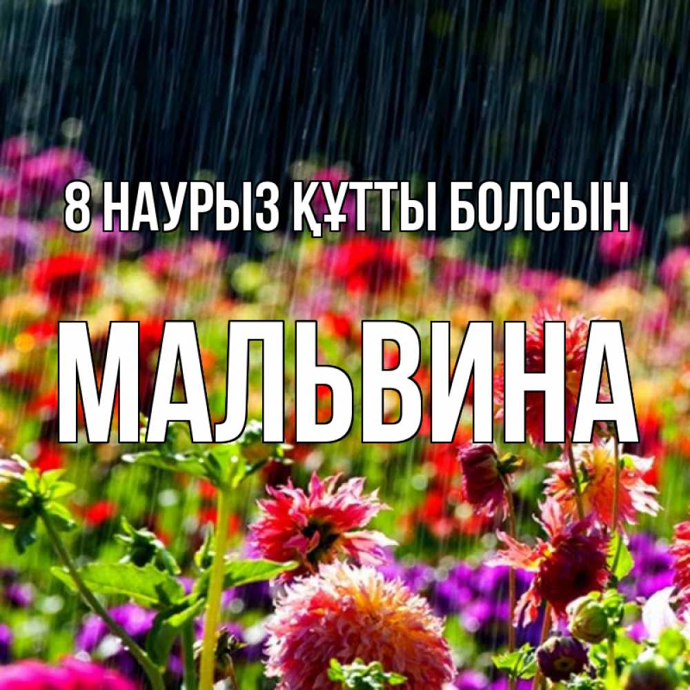 Күн сайын ашық хат с именем, Мальвина 8 наурыз құтты болсын цветы под дождиком к международному женскому дню Онлайн тегін жүктеп алу тілектері бар керемет карта 