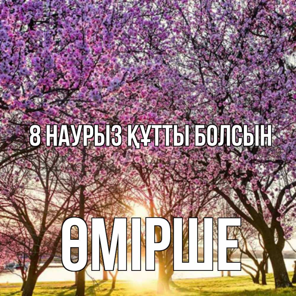 Күн сайын ашық хат с именем, ӨМІРШЕ 8 наурыз құтты болсын международный женский день Онлайн тегін жүктеп алу тілектері бар керемет карта 