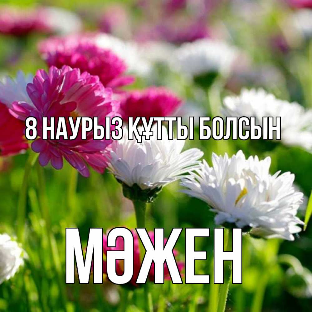 Күн сайын ашық хат с именем, МӘЖЕН 8 наурыз құтты болсын международный женский день 1 Онлайн тегін жүктеп алу тілектері бар керемет карта 