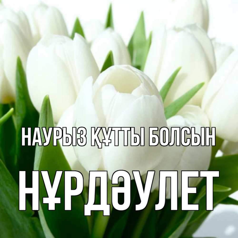 Күн сайын ашық хат с именем, НҰРДӘУЛЕТ Наурыз құтты болсын цветы Онлайн тегін жүктеп алу тілектері бар керемет карта 
