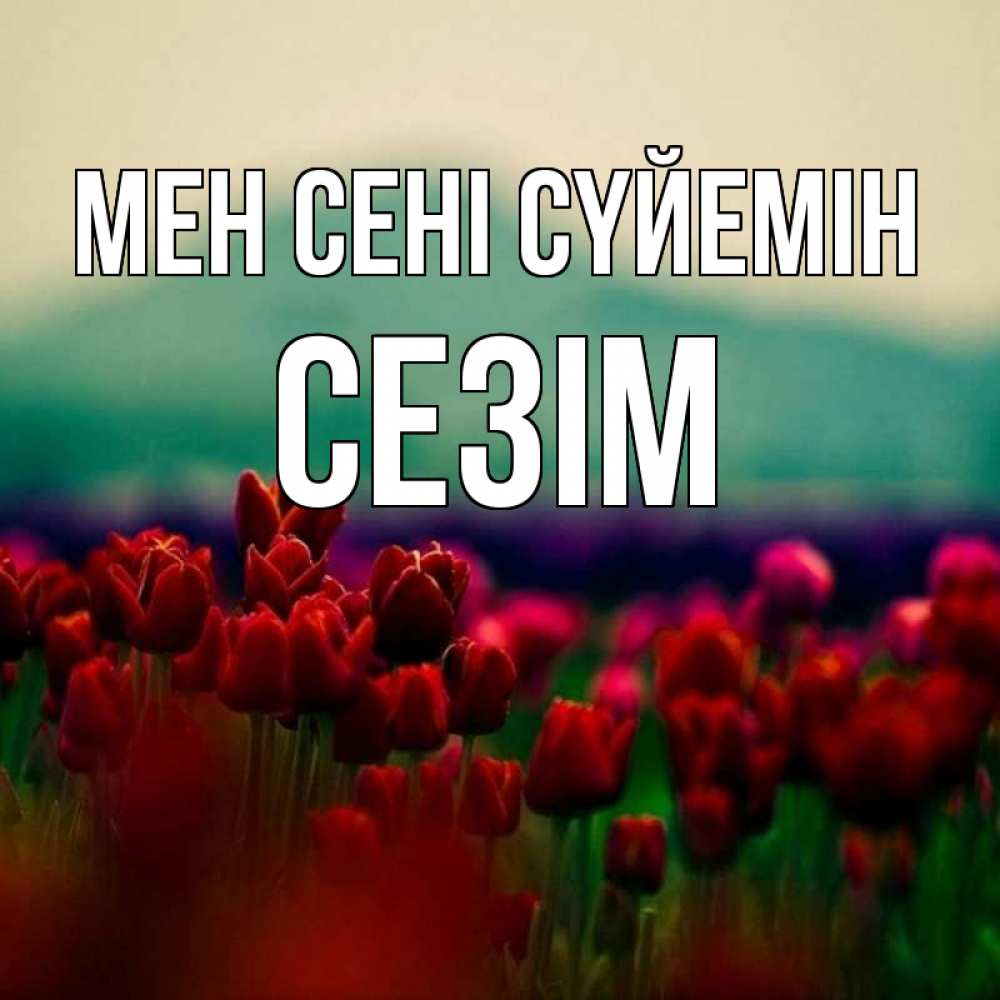Күн сайын ашық хат с именем, СЕЗІМ Мен сені сүйемін тюльпаны 4 Онлайн тегін жүктеп алу тілектері бар керемет карта 