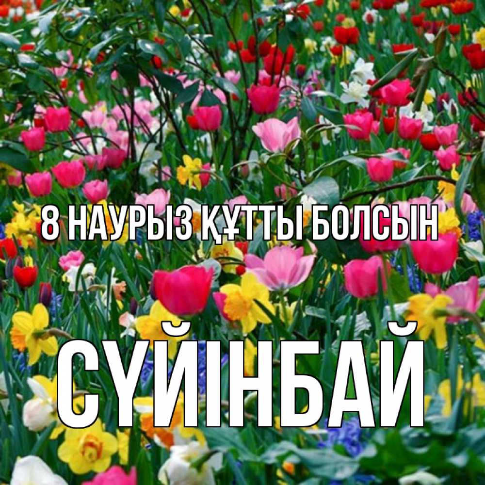 Күн сайын ашық хат с именем, СҮЙІНБАЙ 8 наурыз құтты болсын с международным женским днем поздравления для женщины Онлайн тегін жүктеп алу тілектері бар керемет карта 